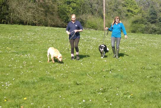Lancaster Kennels