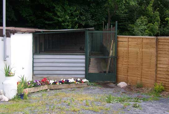 Lancaster Kennel Dog Run